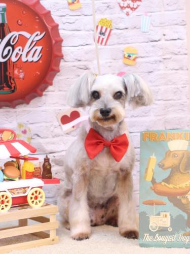 20230930ここちゃん